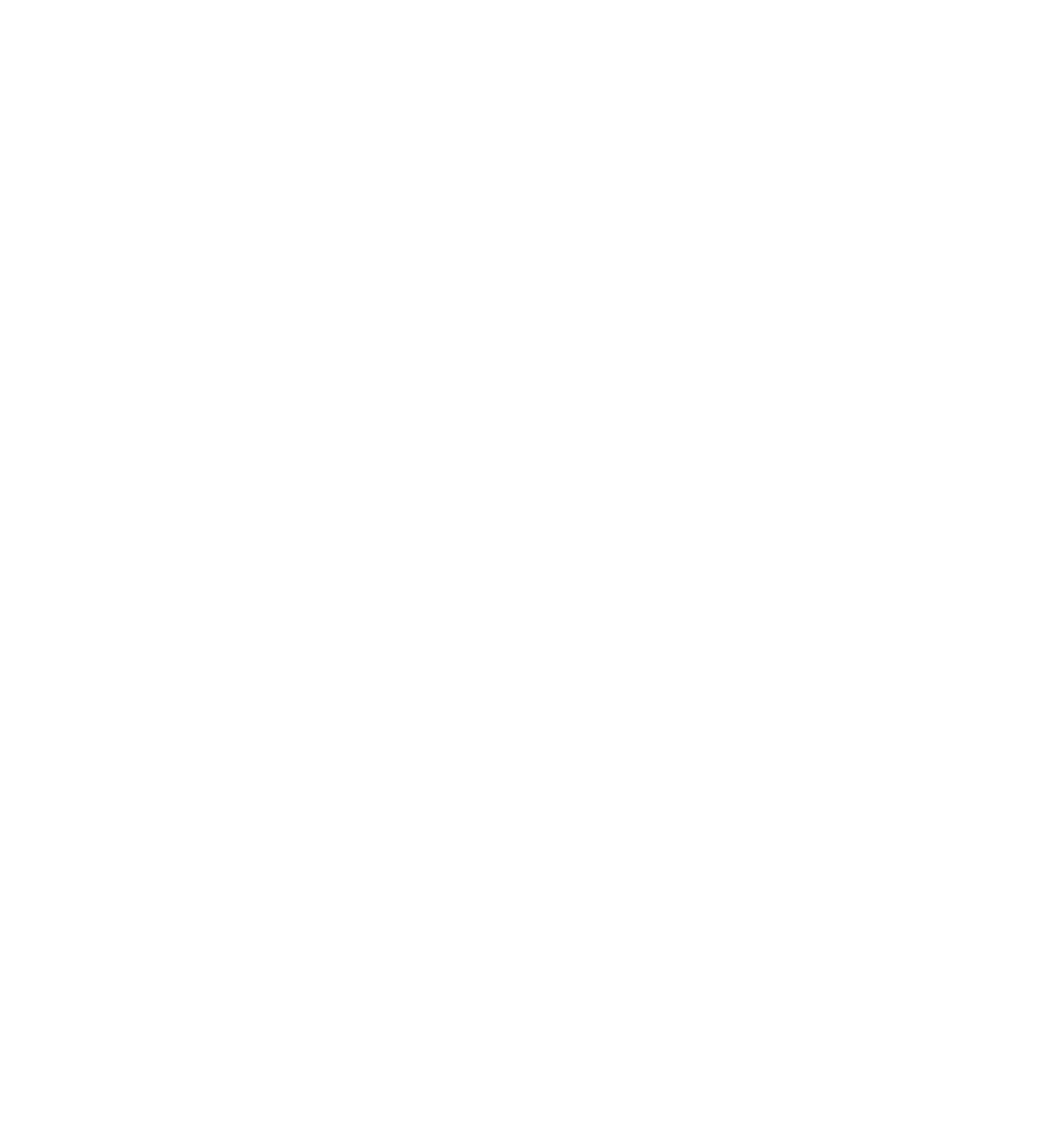nbn logo