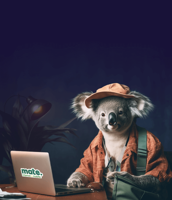 Mobile & Unlimited NBN Plan Bundles MATE