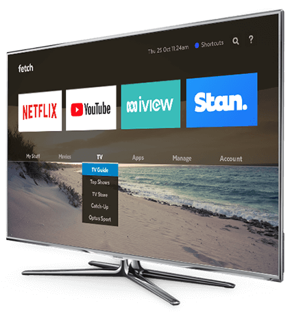 TV