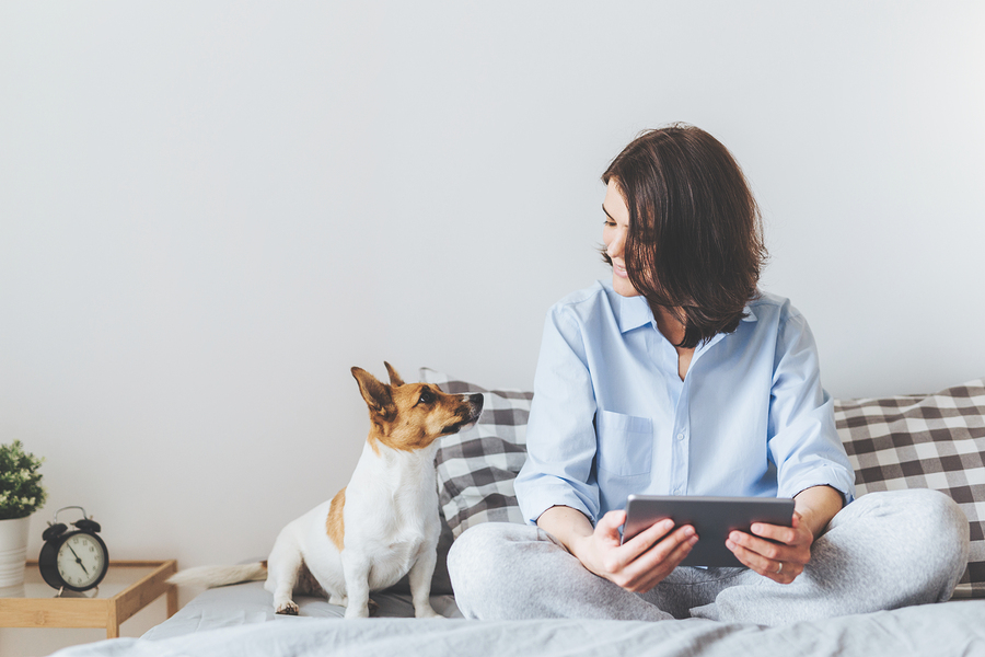 woman using tablet, sitting on bed with dog, morning routine