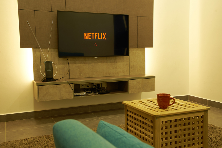 tv displaying netflix in a cozy living room setting.