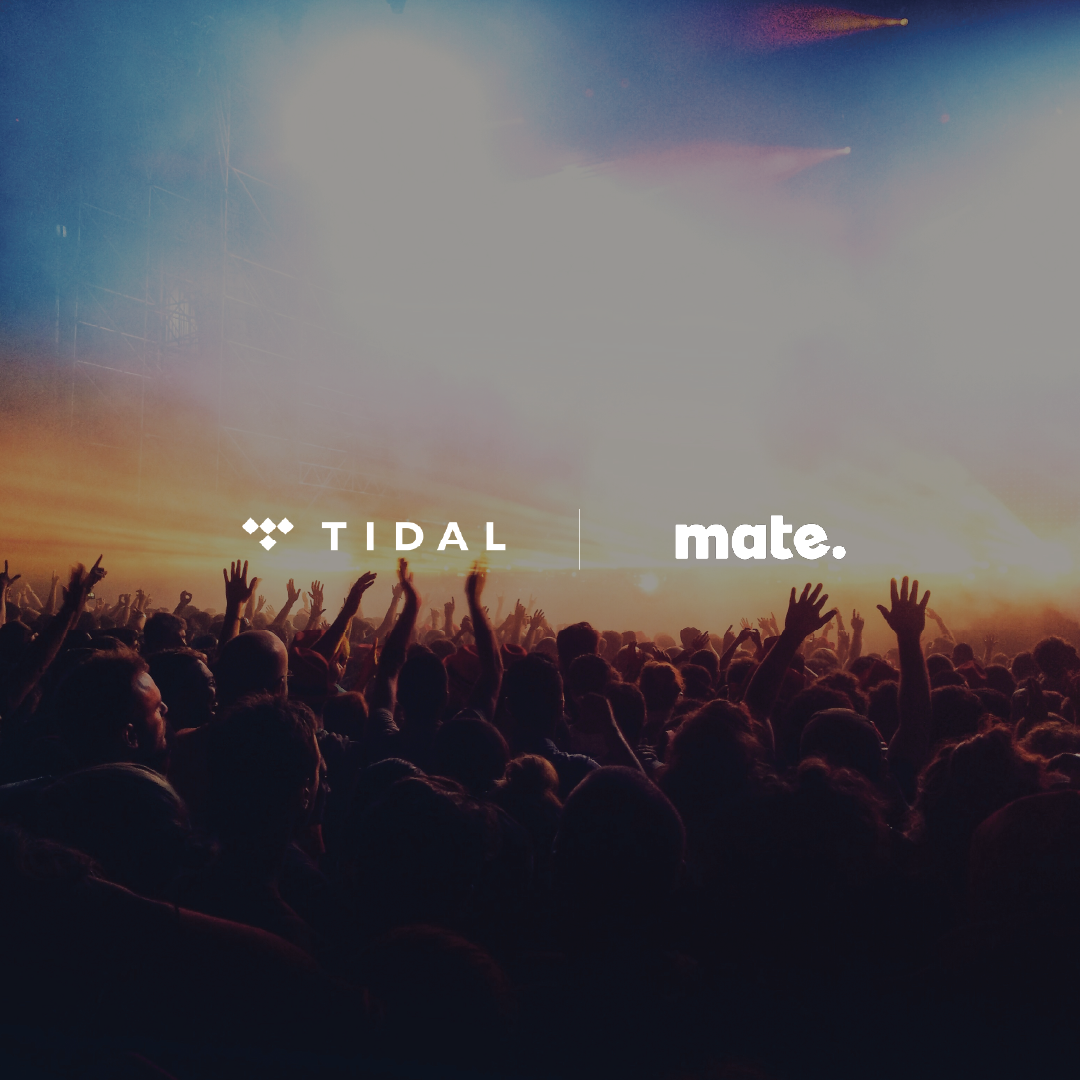 crowd dancing to music under colorful lights by the mate and tidal