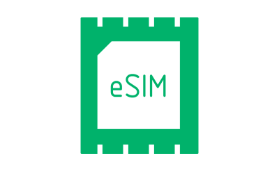 Esim Icon