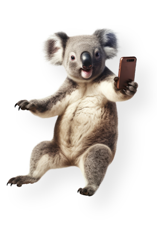 Mobile Plan Call Out Koala 525 X 780