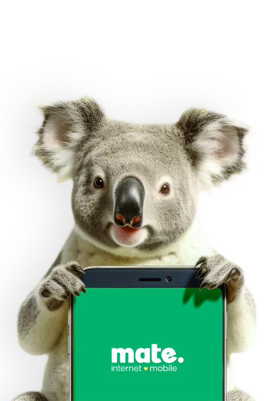 Mobile & Unlimited NBN Plan Bundles MATE
