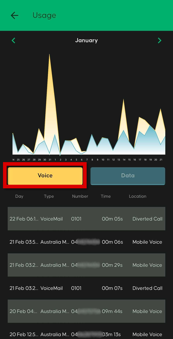 Voice usage screen showing call records in the myMATE app