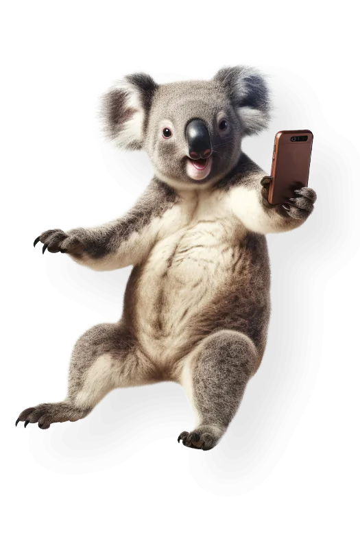 Mobile Plan Call Out Koala 525 X 780